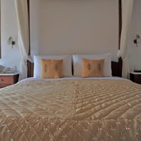 파라디시온 호텔 Mykonos Town