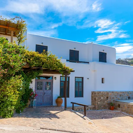 酒店 帕拉迪森酒店 Mykonos Town